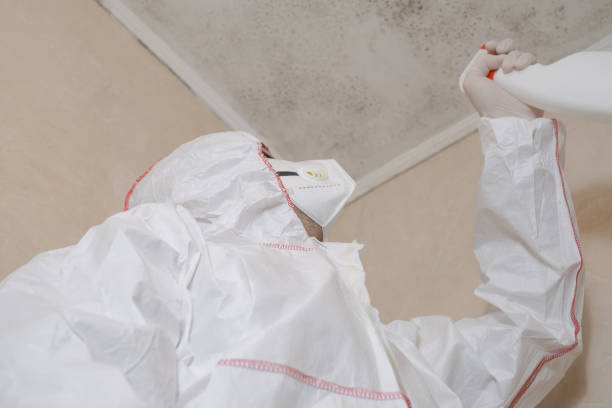Best Local Mold Removal Service  in Crescent Springs, KY