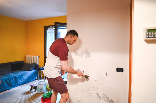 Best Mold Remediation  in Crescent Springs, KY