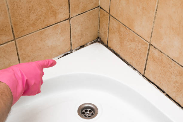 Best Crawl Space Mold Removal  in Crescent Springs, KY